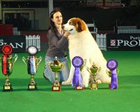 417664_3199177591546_1629236777_32641817_1097801813_n.jpgnetica
