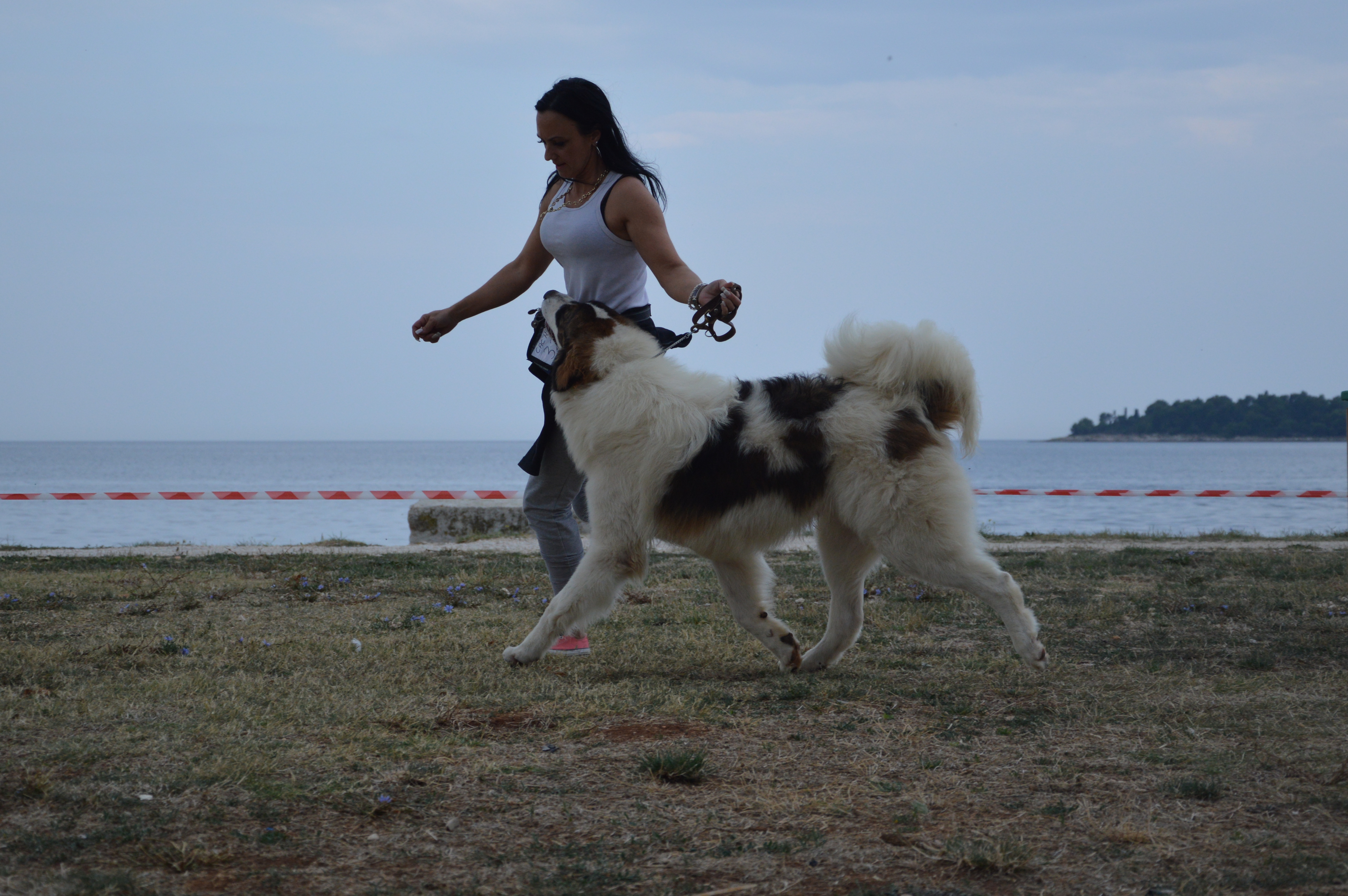 rovinj-10-09-2016-006