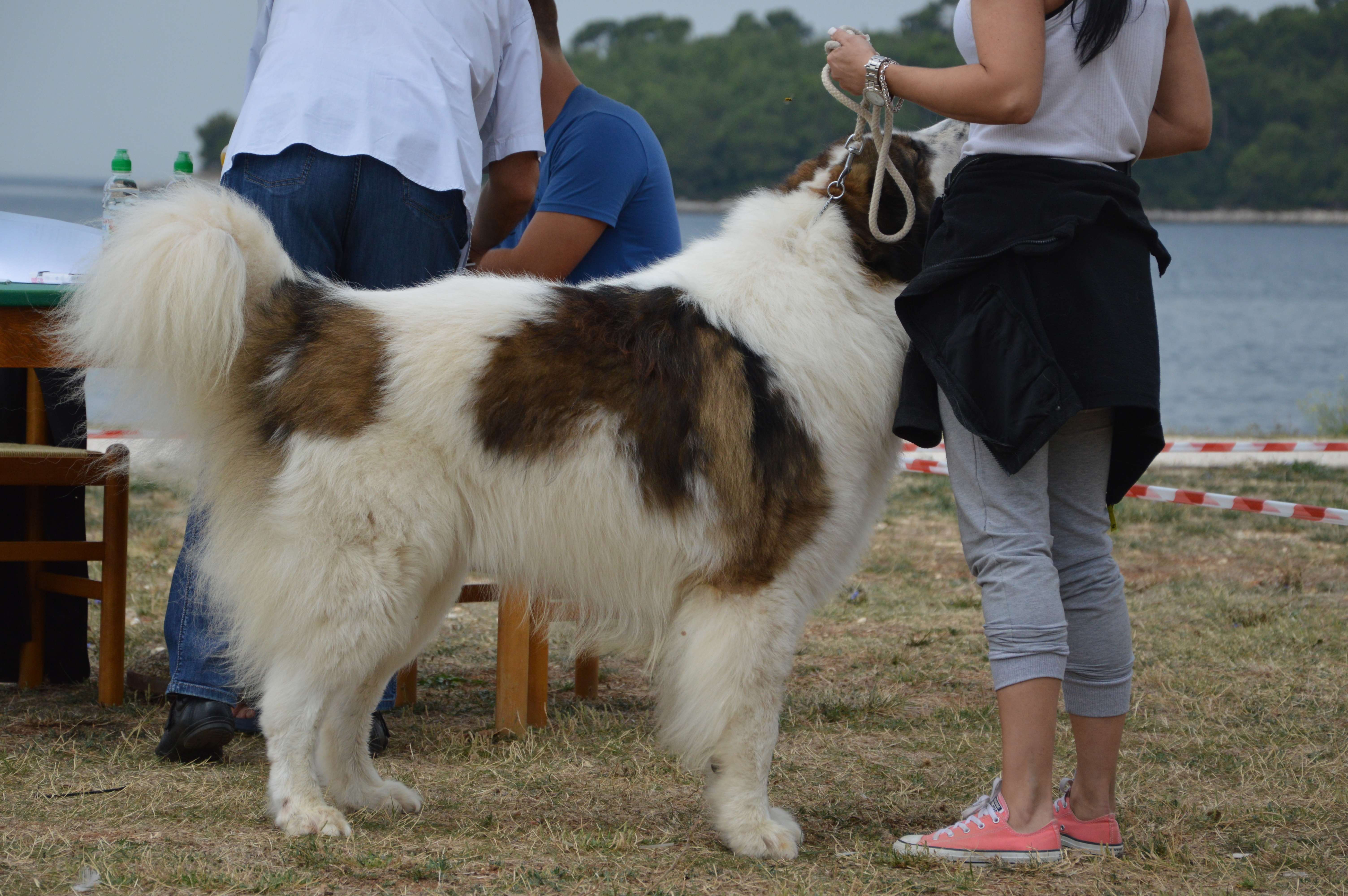 rovinj-10-09-2016-103