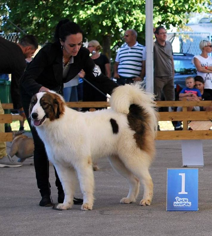 14468787_1195904937134028_3082436223464451271_o-001