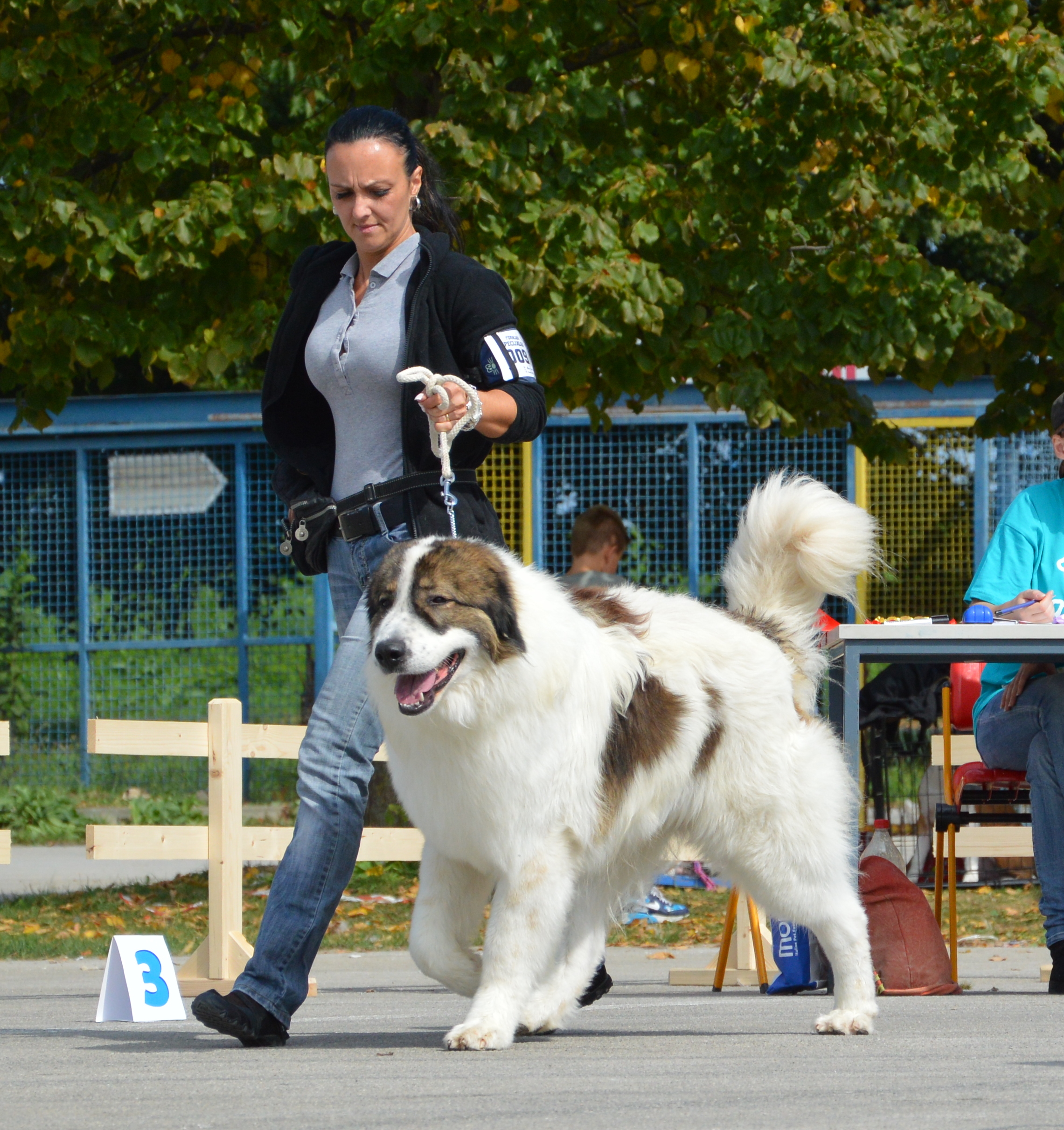 19.09.2015 Karlovac 142